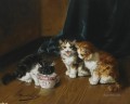 Alfred Brunel de Neuville chatons au sol